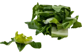 Paksoi 30mm bulk